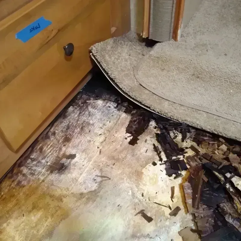 Wood Floor Water Damage in Greene County, MO